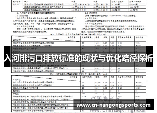 入河排污口排放标准的现状与优化路径探析