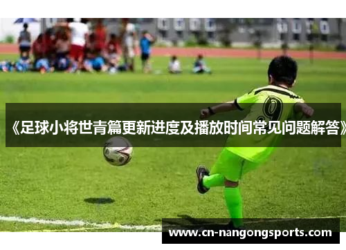 《足球小将世青篇更新进度及播放时间常见问题解答》