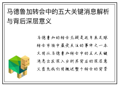 马德鲁加转会中的五大关键消息解析与背后深层意义